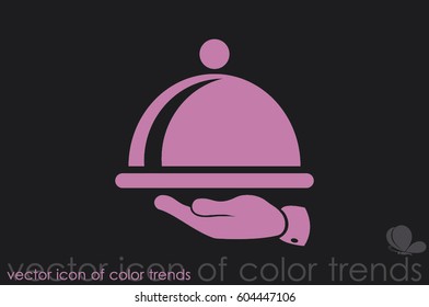 platter icon vector illustration eps10