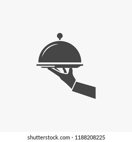 Platter Vector Icon
