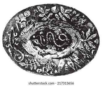 Platter. vintage engraved illustration. Dictionary of words and things - Larive and Fleury - 1895.