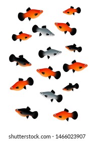 Platy fish small pet graphic vector