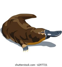 Platypus