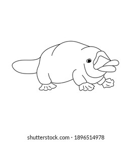 Platypus, animal of Australia, coloring page for children outline illustration