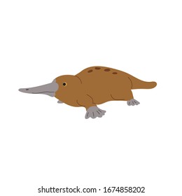 Platypus animal. Character, mammal. Vector illustration.