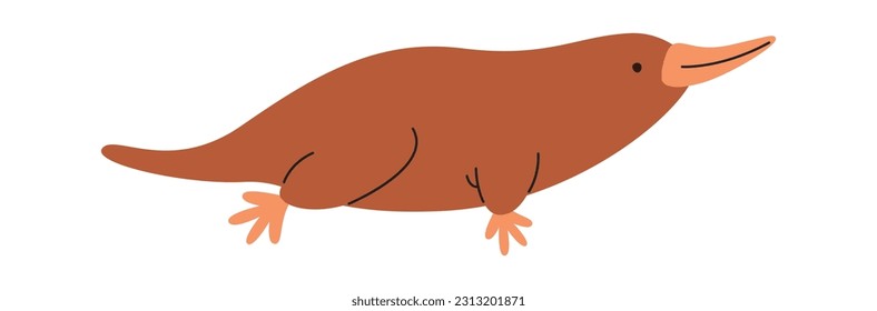 Platypus Animal Illustration Vector Illustration