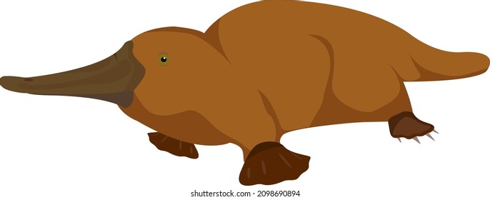 Platypus animal, illustration, vector on a white background.