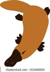 Platypus animal vector isolated illustration on white background. Concept for print, web design, cards, logo, icon 