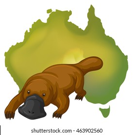 Platypus and Australia map illustration