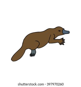 Platypus, Australian animal linear colored hand drawn illustration. Vector.