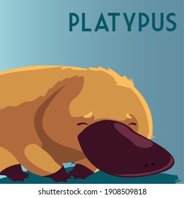 platypus australian animal wildlife native vector illustration