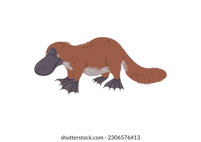 Platypus Australian Duck-billed rare animal cartoon character, flat style vector illustration isolated on white background. Representative of Australian wild animals.