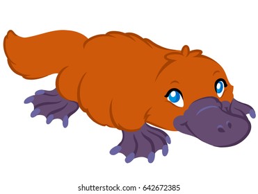 Platypus, australian mammal, flat, cartoon style, digital illustration.