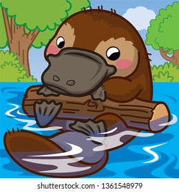 Platypus cartoon, animal cute, cartoon cute