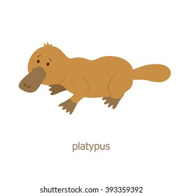 Platypus. Cartoon character. Australian endemic. Zoo illustration. Wild animal. Cute duckbill. 