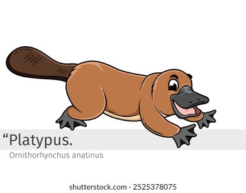 Ilustración de dibujos animados de ornitorrinco. animal salvaje aislado. Colección de dibujos animados de animales. Personaje de Platypus Cartoon