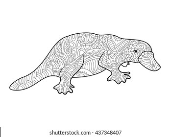 Platypus coloring book for adults vector illustration.