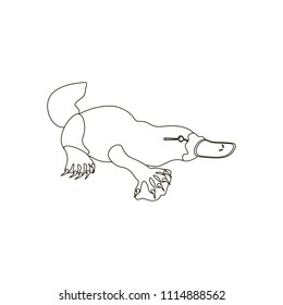 Platypus coloring pages on the white background. Vector illustration