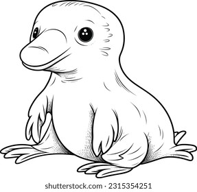 Platypus, colouring book for kids, vector illustration