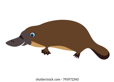 Platypus, cute cartoon baby style. Vector illustration of Australian animal.