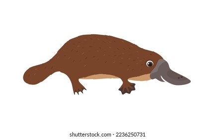 Platypus. Cute funny Australian animal. Vector cartoon flat illustration.