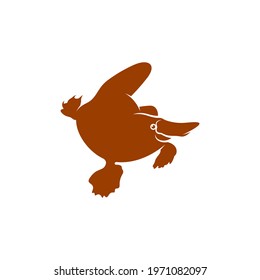 Platypus design vector illustration, Creative Platypus logo design concept template, symbols icons