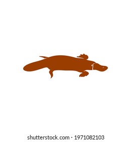 Platypus design vector illustration, Creative Platypus logo design concept template, symbols icons