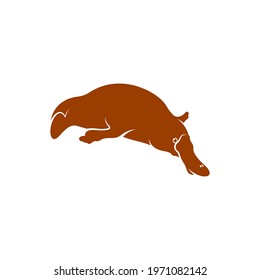 Platypus design vector illustration, Creative Platypus logo design concept template, symbols icons