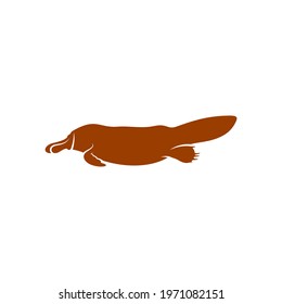 Platypus design vector illustration, Creative Platypus logo design concept template, symbols icons