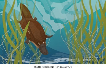 The platypus dives in river water. Endemic species of Australia and Tasmania. Realistic vector landscape