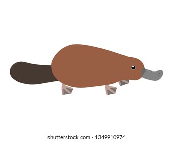 Platypus. duckbill, Isolated vector illustration