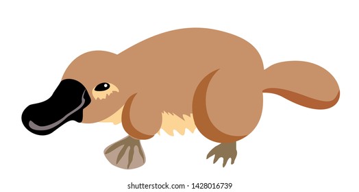 Platypus, duckbill. Isolated vector illustration. Australian animal.