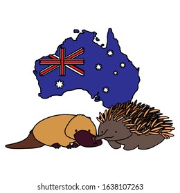 Platypus and echidna with map of Australia in the background vector. illustration design.