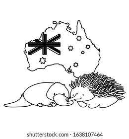 platypus and echidna with map of australia in the background vector illustration design