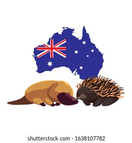 Platypus and echidna with map of Australia in the background. vector illustration design.