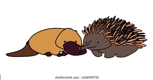 Platypus and echidna on white background. vector illustration design.