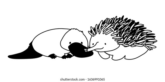 Platypus and echidna on white background. vector illustration design.