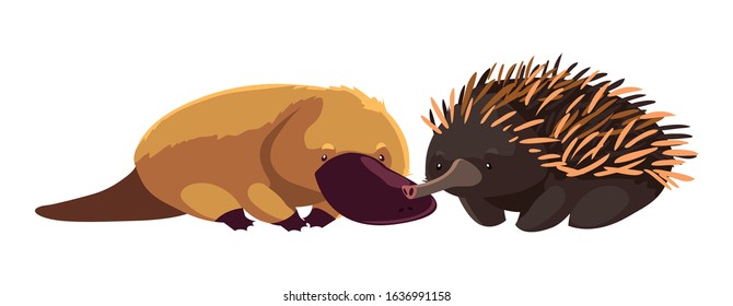 Platypus and echidna on white background. vector illustration design.