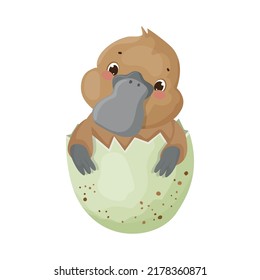 Platypus in eggshell. Colorful children's illustration.