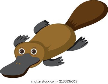 Platypus in flat cartoon style illustration