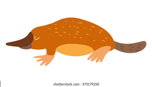 Platypus. Flat cartoon vector illustration, isolate on white  background