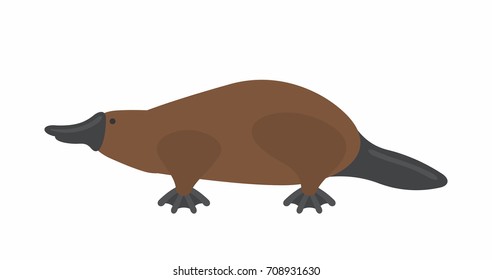 Platypus in flat style on white background