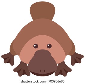 Platypus With Happy Face Illustration