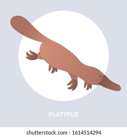 platypus icon cartoon endangered wild australian animal symbol wildlife species fauna concept flat vector illustration