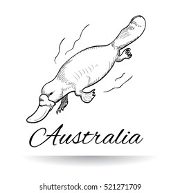 Platypus icon in doodle style. Logotype for business. Vector illustration.