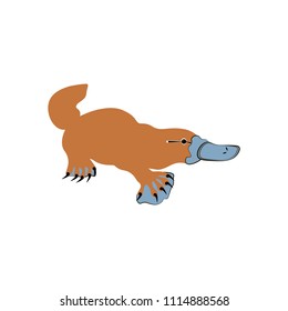 Platypus illustration on the white background. Vector illustration