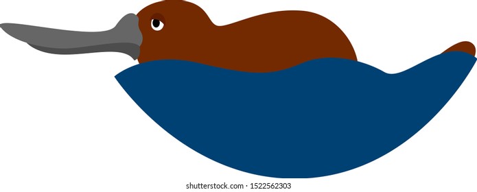 Platypus, illustration, vector on white background.