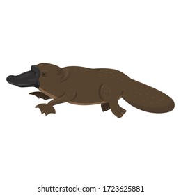 Platypus isolated on a white background. Vector graphics.