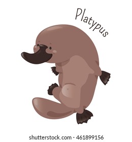 Platypus isolated on white background. Cartoon duck-billed. Australian animal. Wildlife concept. Vector illustration