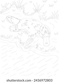 Platypus line art drawing for adult and kids coloring book