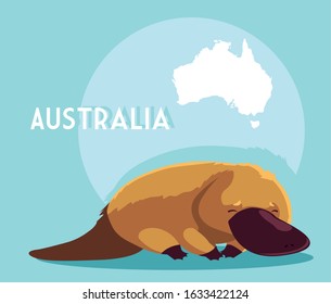 platypus with map of australia in the background vector illustration design