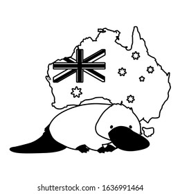 Platypus with map of Australia in the background. vector illustration design.